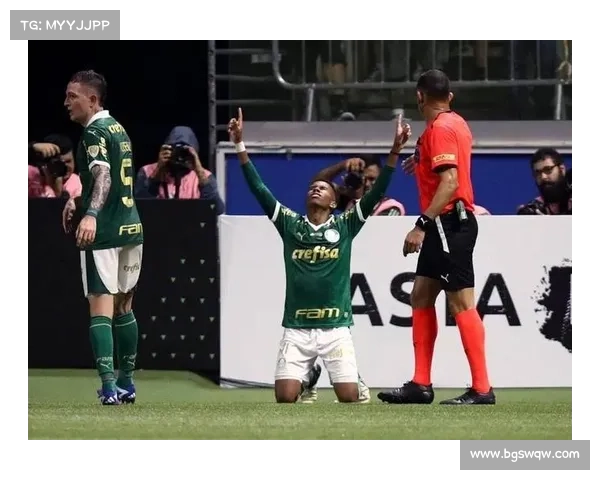 巴西足协经济委员会警告六家巴甲俱乐部可能面临财政违规处罚